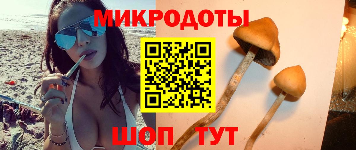 Псилоцибиновые грибы MAGIC MUSHROOMS  Вход с VPN  Озёрск 