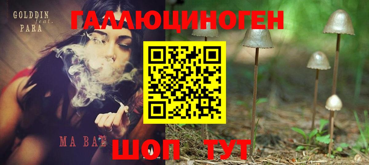 Псилоцибиновые грибы Cubensis Озёрск
